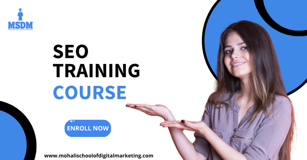 SEO Training Course | MSDM