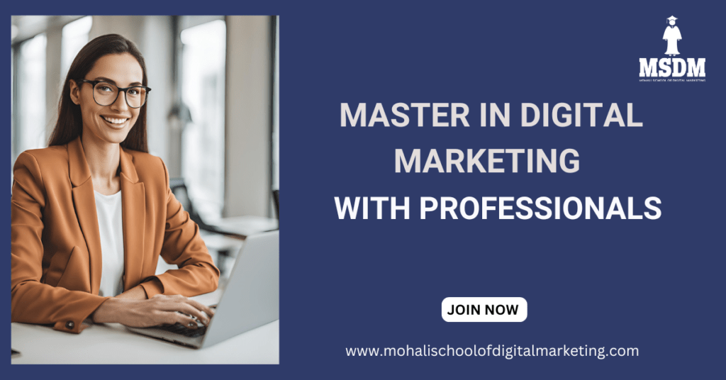 master in digital marketing / MSDM