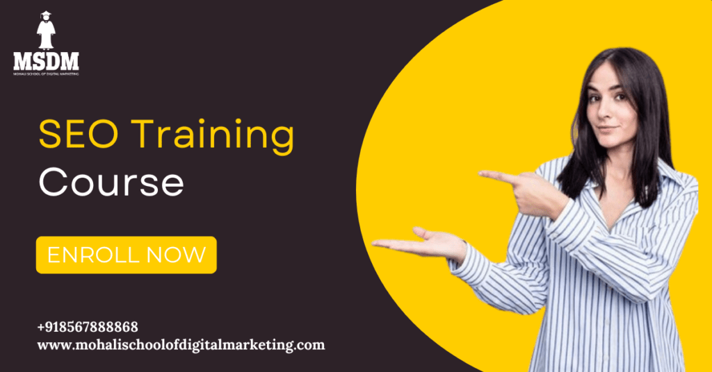 SEO training course/MSDM