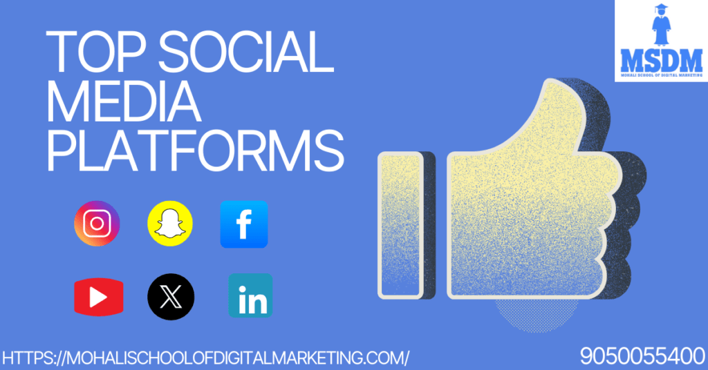 TOP SOCIAL MEDIA PLATFORMS