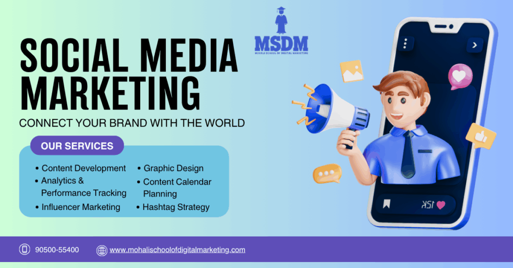 Social media marketing services including content creation, ads management, and audience growth by MSDM